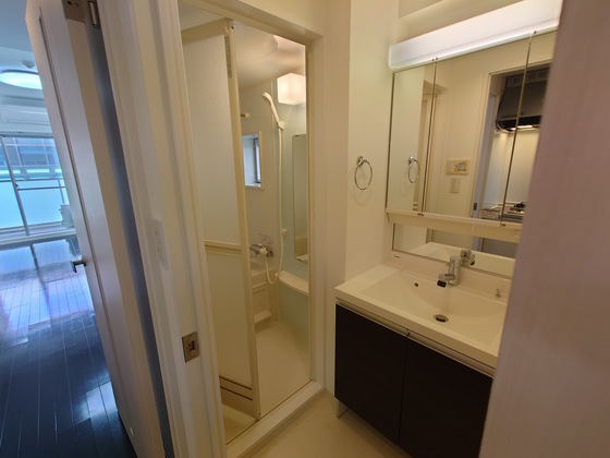 洗面設備　※別部屋の写真です