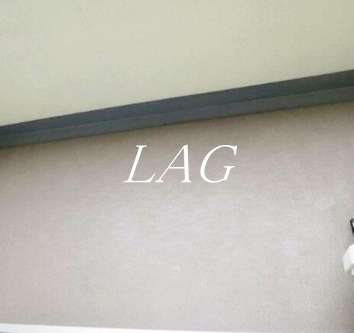 バルコニー　バルコニーです。