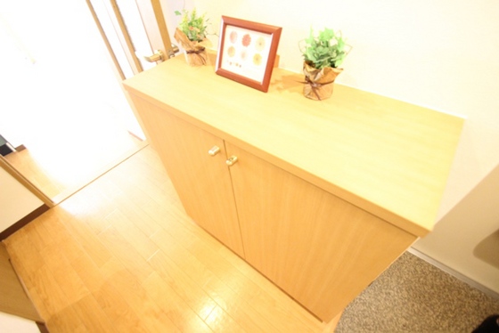 玄関　※他部屋のお写真になります