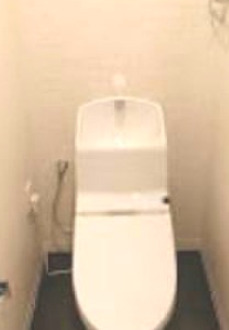 トイレ　コンパクトで使いやすいトイレです