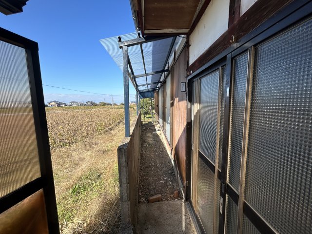 庭