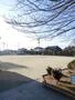 公園　若山児童公園（公園）まで617m