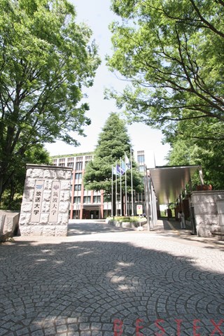 小学校　文京区立林町小学校（小学校）まで619m