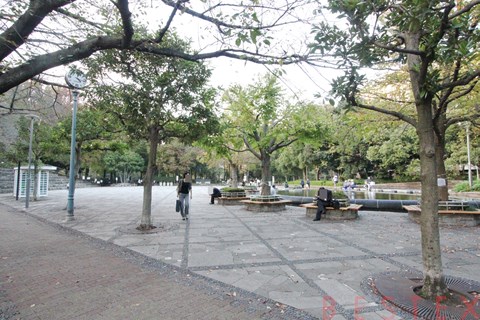 公園　教育の森公園（公園）まで1099m