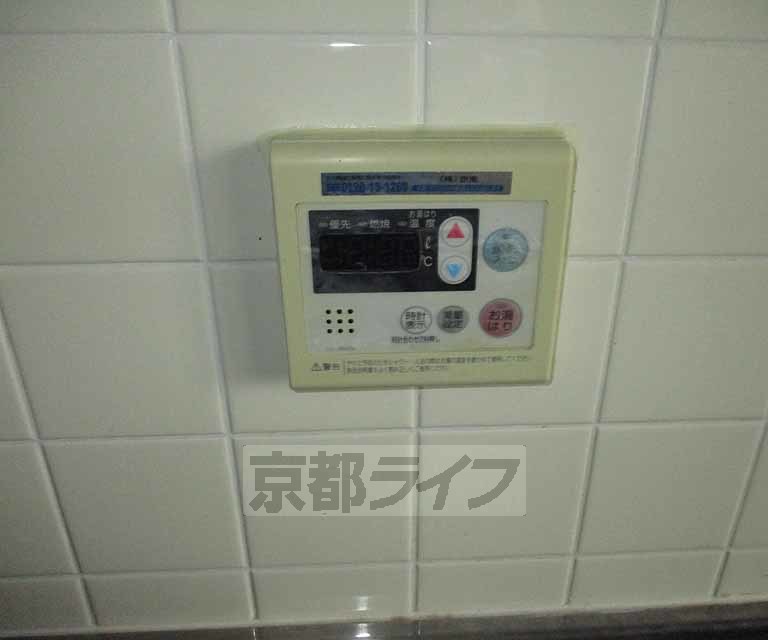 その他設備　シャンプードレッサ付きの独立洗面台です。