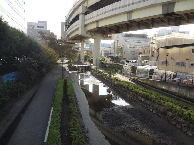 庭　親水公園