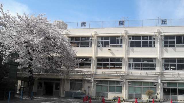 小学校　武蔵丘小学校（小学校）まで825m