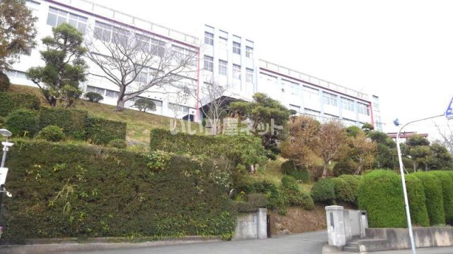 大学・短大　長崎女子短大（大学・短大）まで876m