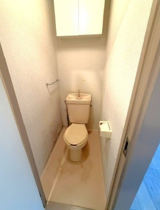 Muses旗の台のトイレ写真
