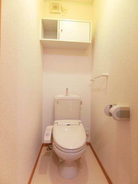 とさでん交通伊野線 宮の奥駅 徒歩2分 2階建 築19年のトイレ写真