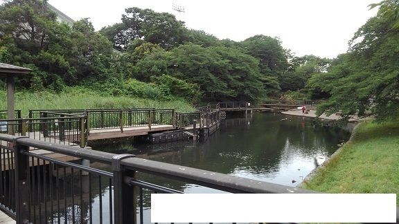 公園　岸根公園（公園）まで150m