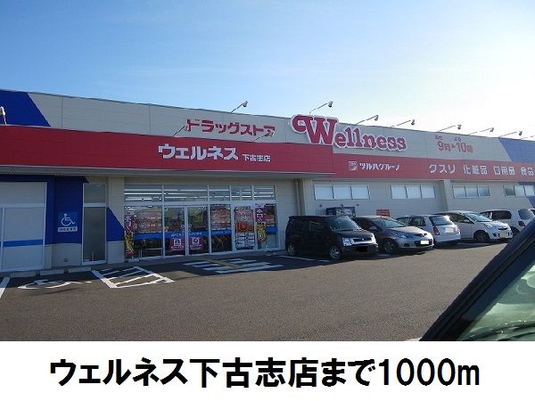 ドラックストア　ウエルネス下古志店（ドラッグストア）まで1000m