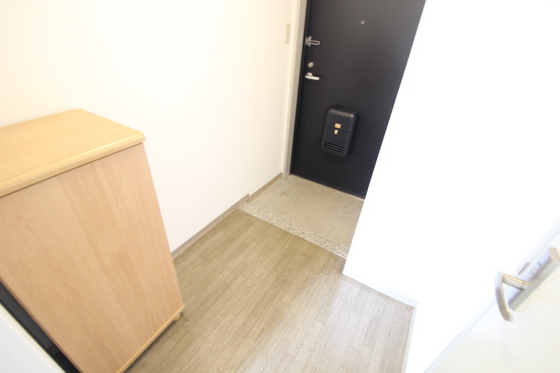 玄関　※別部屋の写真です