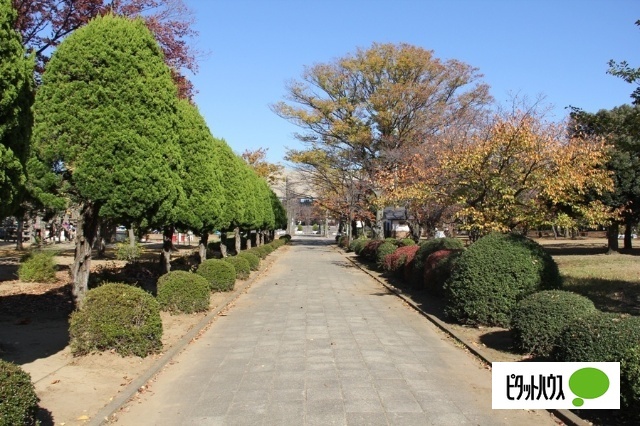 公園　早稲田公園（公園）まで628m
