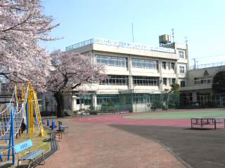 小学校　大田区立清水窪小学校（小学校）まで584m
