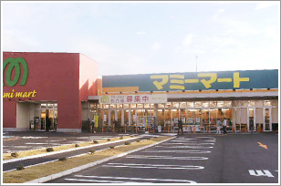 スーパー　マミーマート 西堀店（スーパー）まで542m