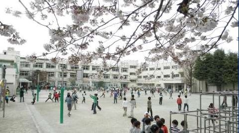 小学校　世田谷区立瀬田小学校（小学校）まで258m