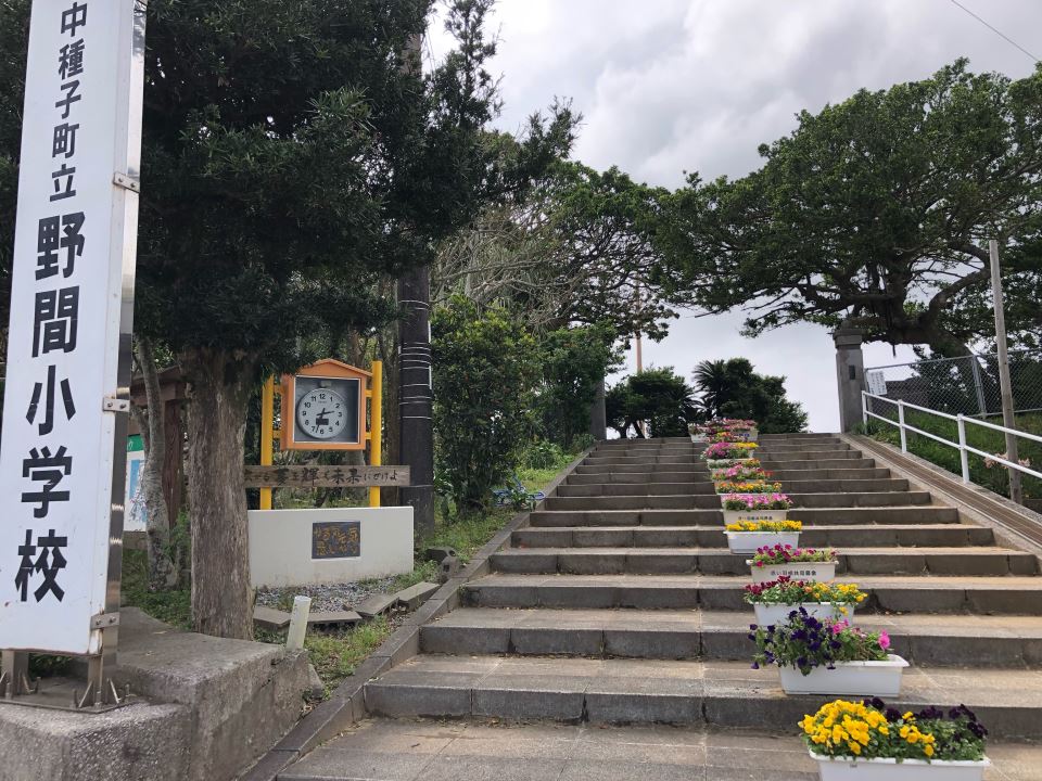 【野間ハイツＢの小学校】