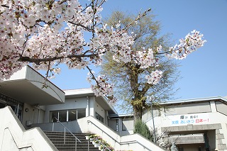 中学校　倉敷市立南中学校（中学校）まで1834m