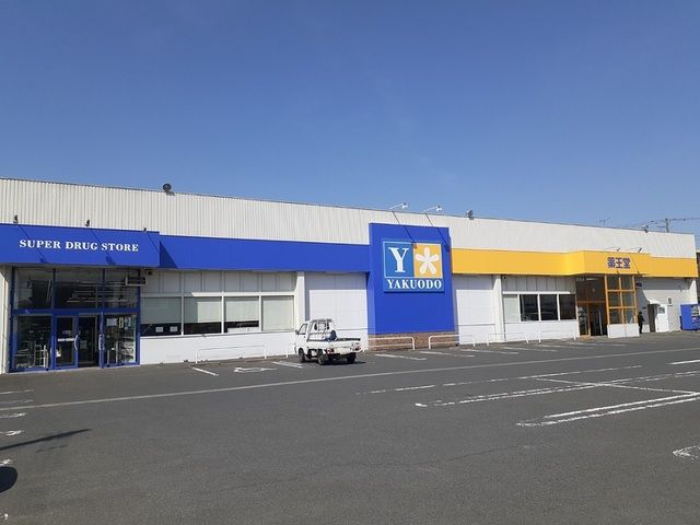 ドラックストア　薬王堂　竹ノ内店（ドラッグストア）まで600m
