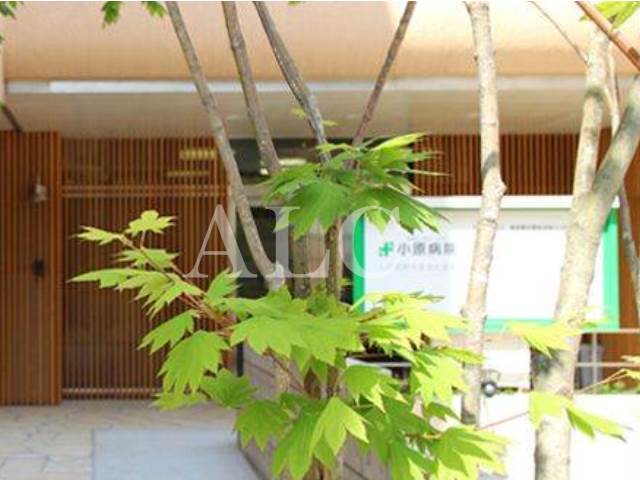 病院　小原病院（病院）まで330m