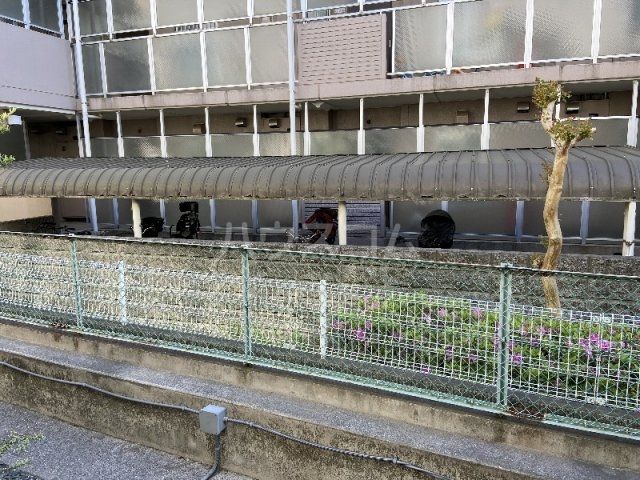 庭