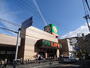 スーパー　ライフ　豊津店（スーパー）まで1000m