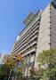 役所　堺市役所（役所）まで800m
