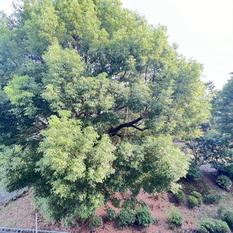 眺望　同仕様タイプです