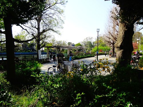 公園　碑文谷公園（公園）まで328m