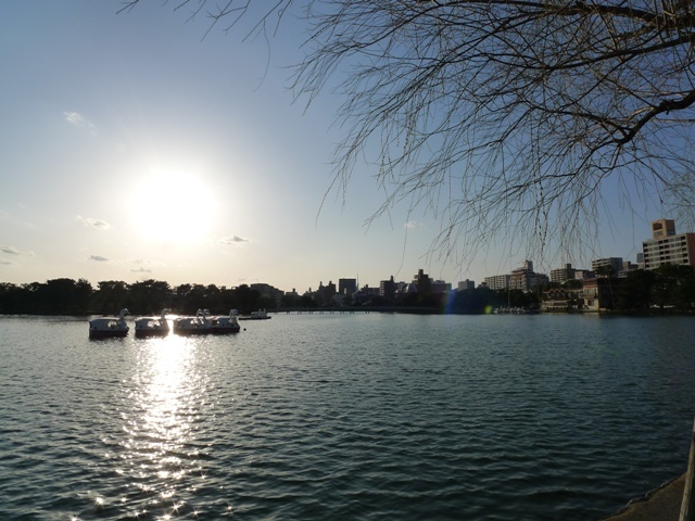 公園　大濠公園（公園）まで1003m