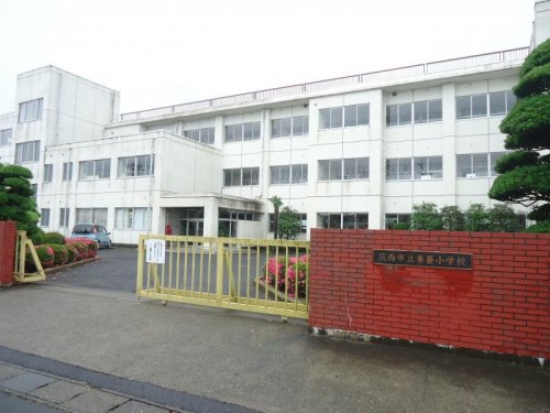 小学校　筑西市立養蚕小学校（小学校）まで999m