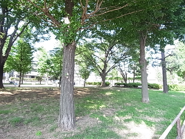 公園　竹の塚第九公園（公園）まで194m