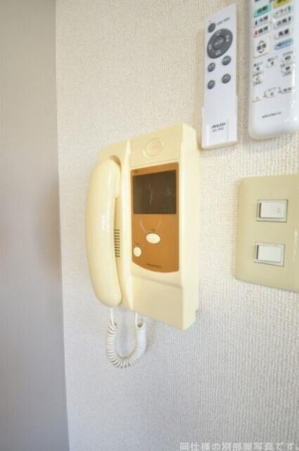 VIOLA KANAYAMAのその他写真