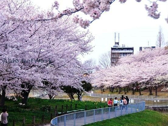 公園　細口池公園（公園）まで1021m