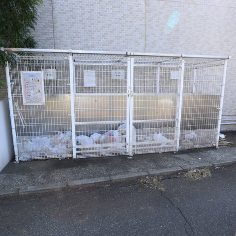 庭