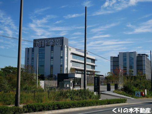 大学・短大　私立岡山理科大学獣医学部（大学・短大）まで977m