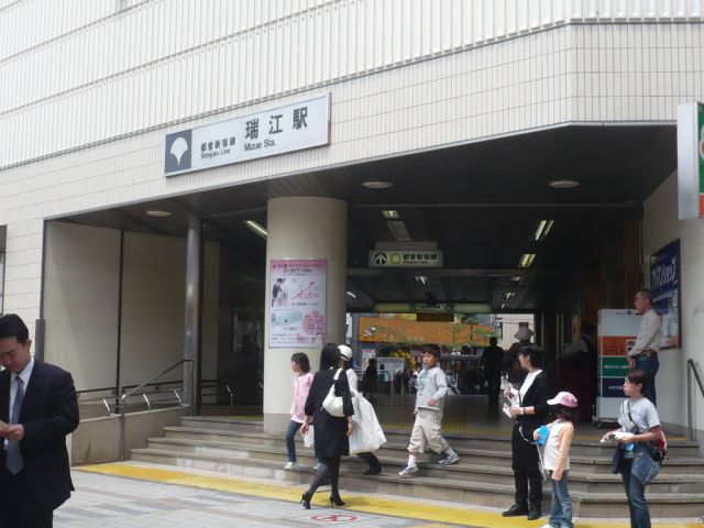小学校　江戸川区立南篠崎小学校（小学校）まで386m