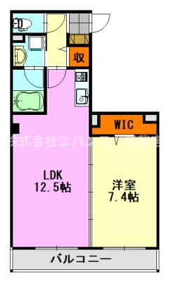 【メゾンド亀岡の間取り】