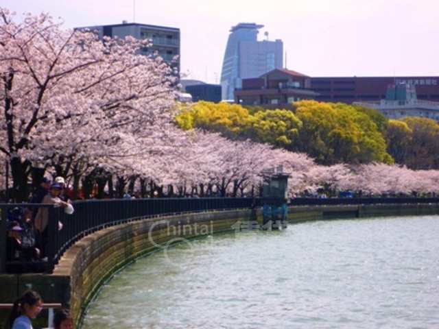 【プレサンス大阪天満リバーシアの公園】