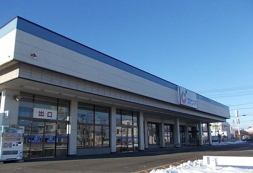 ドラックストア　カワチ薬品鎌田店（ドラッグストア）まで1100m