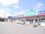 ドラックストア　ウエルシア薬局宇都宮双葉店（ドラッグストア）まで557m