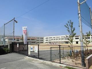 小学校　岸和田市立朝陽小学校（小学校）まで500m