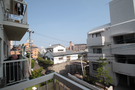 眺望　※別部屋の写真です