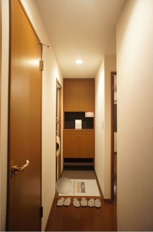 玄関　図面と現状に相違がある場合には現状を優先