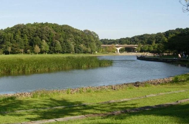 公園　２１世紀の森と広場（公園）まで850m