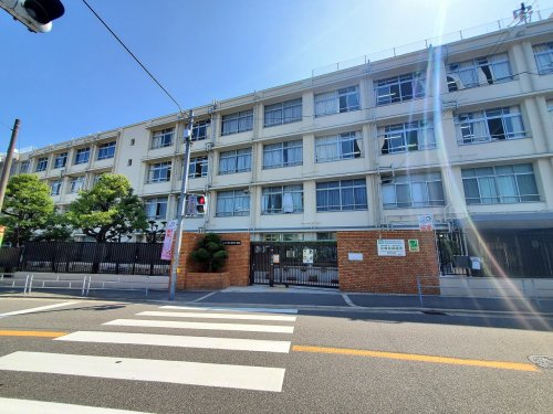 小学校　大阪市立井高野東小学校（小学校）まで161m