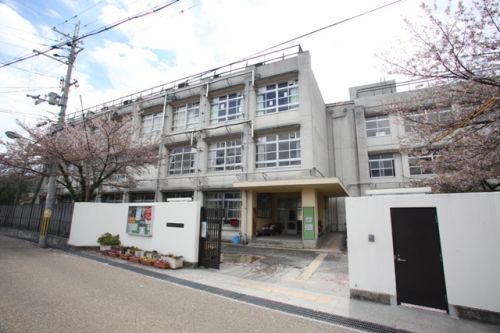 中学校　東大阪市立金岡中学校（中学校）まで565m