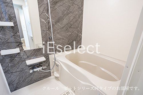 バス・シャワールーム　※同仕様の画像の為、実際とは異なります