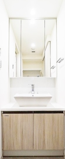 洗面設備　同シリーズ参考写真